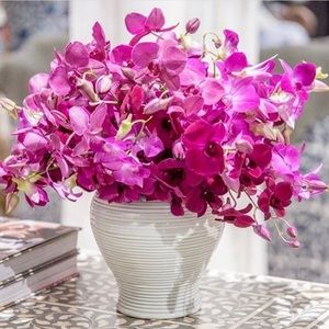 Meet your Posher, FlowerGirl